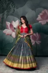 Path Gamini Anarkali Dress